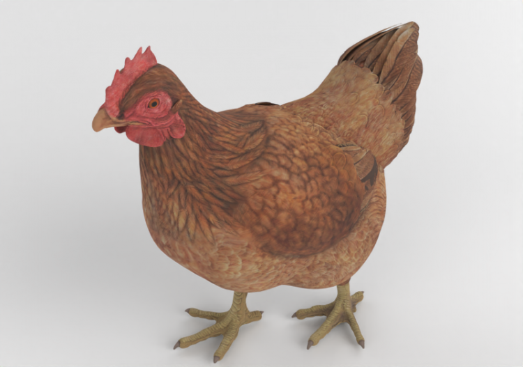 Gallina - MCDesign 2025 - ACCA software