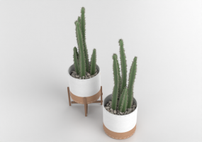 Vasos e Cerâmicas 3D - Piante da interno