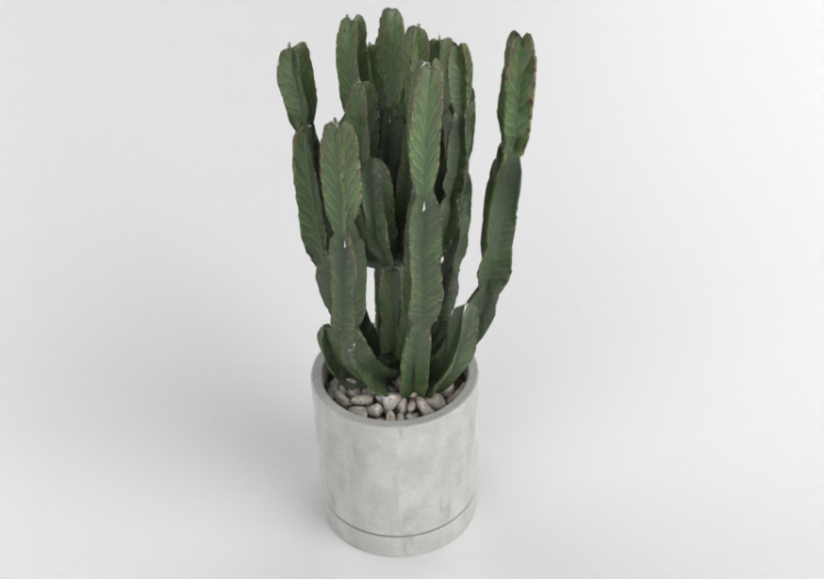Vasos e Cerâmicas 3D - Pianta da interno - ACCA software