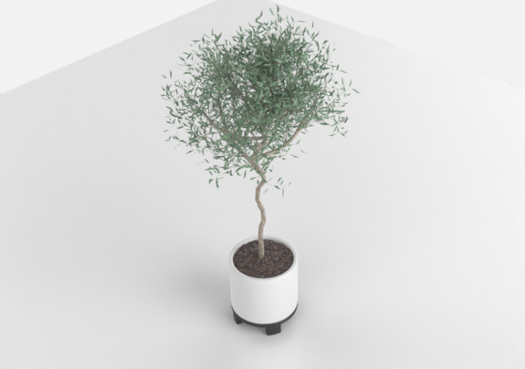 Vasos e Cerâmicas 3D - Pianta da interno - ACCA software