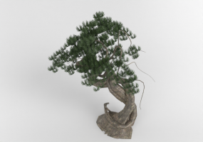 3D Zubehör - Bonsai