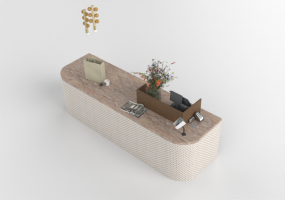 Mobili 3D - Reception