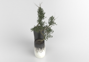 Vasi e Ceramiche 3D - piante