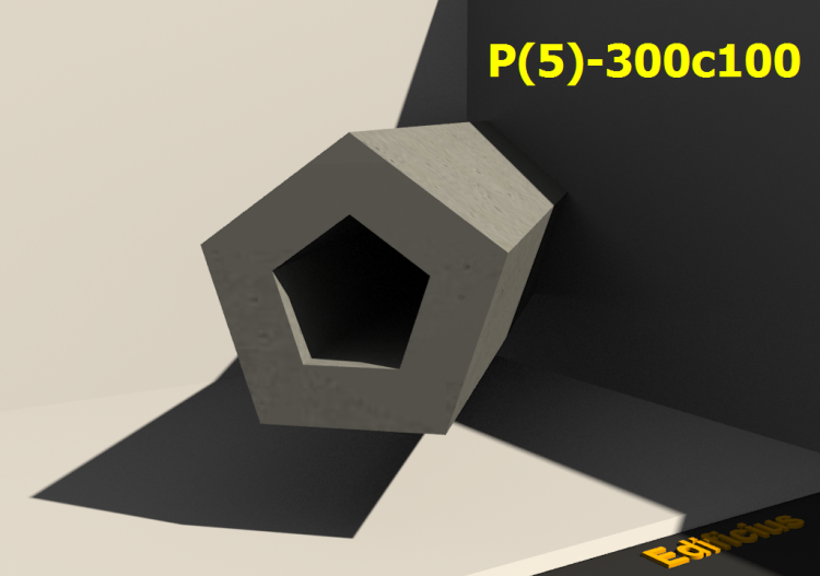 P(5)-300c100 - ACCA software