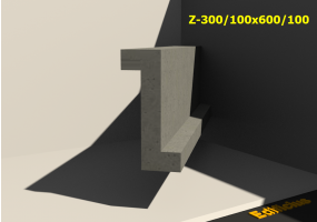 Z-300/100x600/100