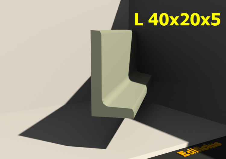 三维剖面 - L 40x20x5 - ACCA software