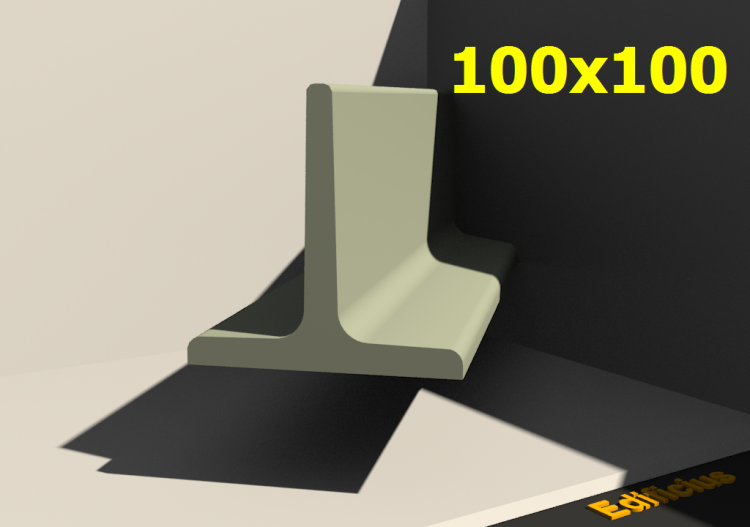 3D Profile - 100x100 - ACCA software