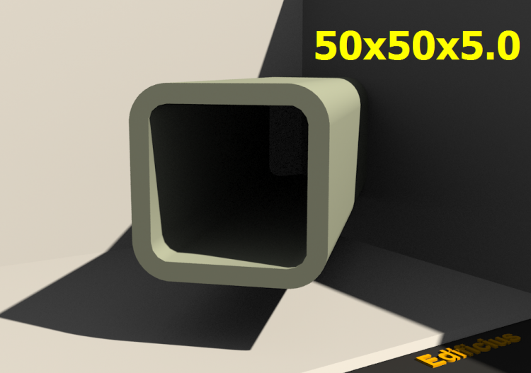 三维剖面 - 50x50x5.0 - ACCA software