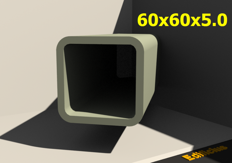 三维剖面 - 60x60x5.0 - ACCA software