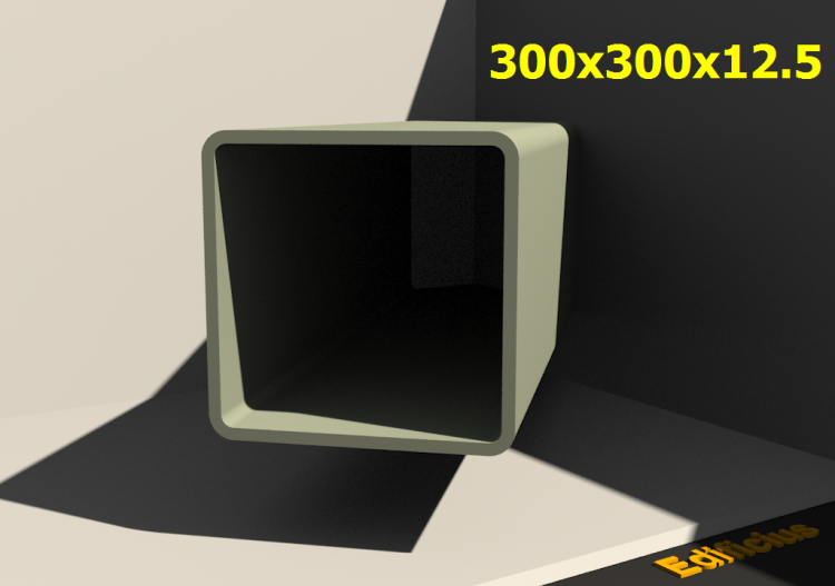 3D Profiles - 300x300x12.5 - ACCA software