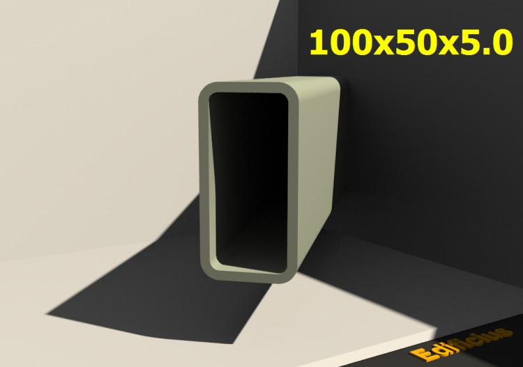三维剖面 - 100x50x5.0 - ACCA software