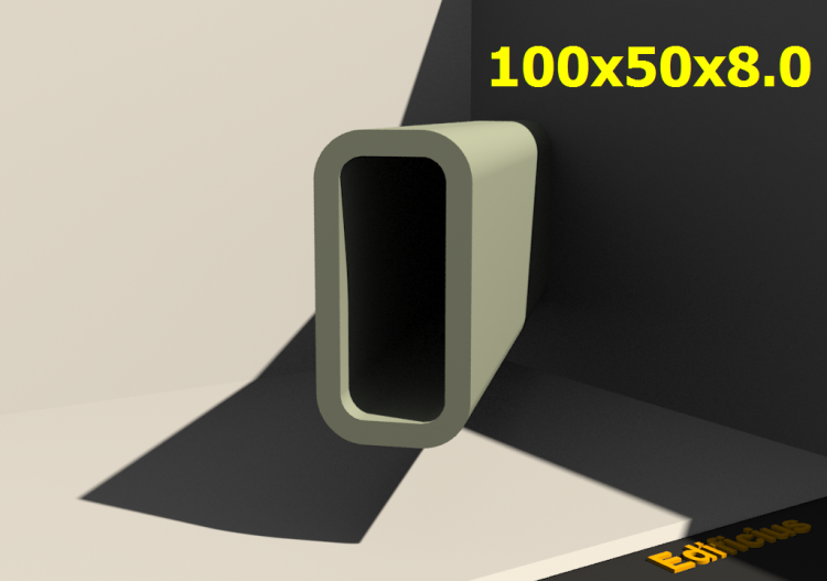 三维剖面 - 100x50x8.0 - ACCA software